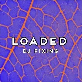 Dj Fixing — Loaded — обложка
